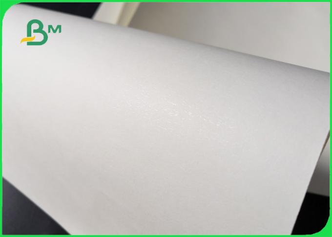 Biodegradable 160GSM + 10GSM PE laminaron el papel para la taza de papel de un sólo recinto