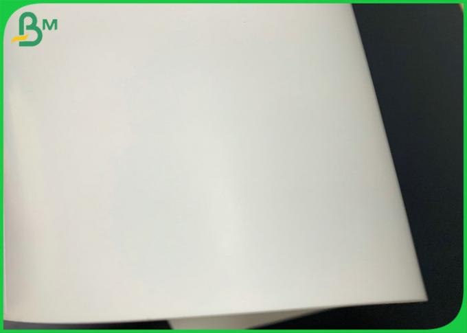 Eco 350gsm amistoso cartón revestido blanco GC1 de 635 x de 940m m para la caja cosmética