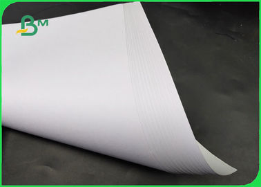 Califique un papel compensado blanco/el papel de imprenta 60 de Woodfree - el tamaño 140g modificado para requisitos particulares