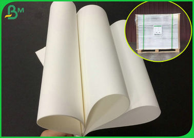 Color blanco resistente rasgar 180 el papel de Matt PP del micrón para la impresión del chorro de tinta