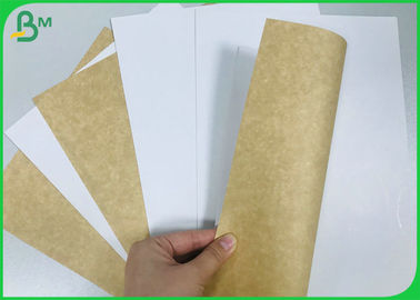 cartón revestido superior blanco de 250gsm 270gsm Kraft hojas de la categoría alimenticia de 70 * del 100CM