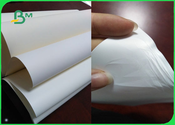 Imprimibilidad excelente de papel basada polipropileno 150um del sintético de la película