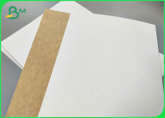 Acondicionamiento de los alimentos imprimible de papel del top de la categoría alimenticia 250gsm 300gsm de la parte posterior blanca de Kraft