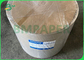 papel de taza de café de 260gsm + de 15g PE para las bebidas calientes 735m m 780m m biodegradables