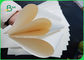 Rasgue el papel revestido 160gsm biodegradable del polietileno de la prueba con la película de 10 PE