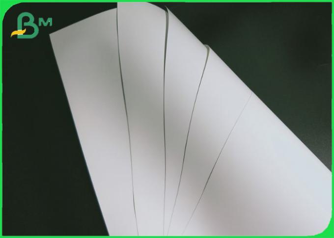 Rasgón de papel sintético de la prenda impermeable del ANIMAL DOMÉSTICO de 100UM 120UM 200UM resistente