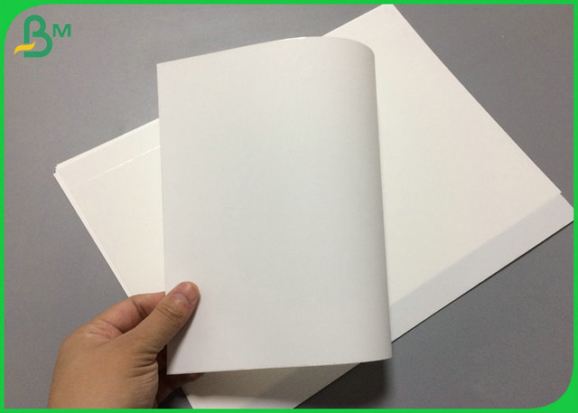 Papel sintético del ANIMAL DOMÉSTICO blanco impermeable del color 100um con el paquete del tamaño A4