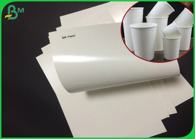 El tablero de papel bajo de la taza de ECO 210 230 Grammages cubrió el polietileno para la taza de papel