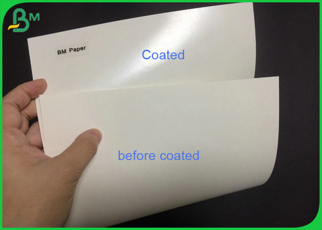  El tablero de papel bajo de la taza de ECO 210 230 Grammages cubrió el polietileno para la taza de papel