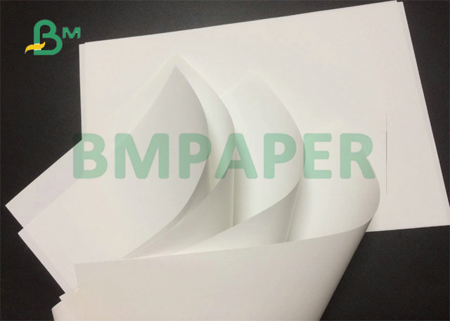80gsm 100gsm 120gsm 640 x 900m m Matte Coated Double Sided Paper para la impresión del chorro de tinta