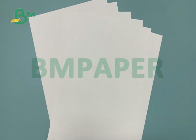 La materia prima PE de la taza y del cuenco cubrió el papel de Kraft 190 - 210gsm