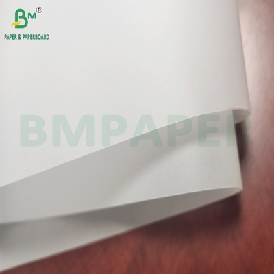 Rollo de papel de pergamino blanco muy transparente 50 g - 130 g