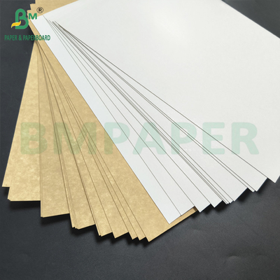 Revestido con pigmento de la placa trasera de kraft de múltiples capas 275gm de alto blanco