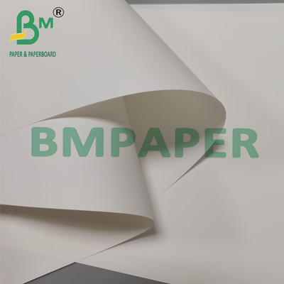 Papel de folleto sintético resistente al calor de 250 mm y 260 mm
