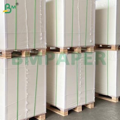 Papel de bolsas de frutas para guayaba en blanco