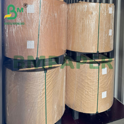 260/275 gr de caja de microondas de 2 lados de papel kraft PE para la caja de almuerzo