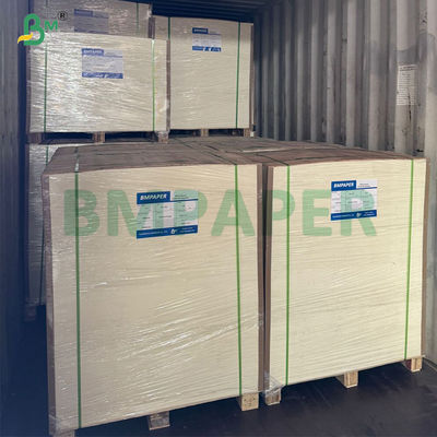 240 gm + 20 gm de papel de base de copa recubrido con PLA biodegradable en rollo