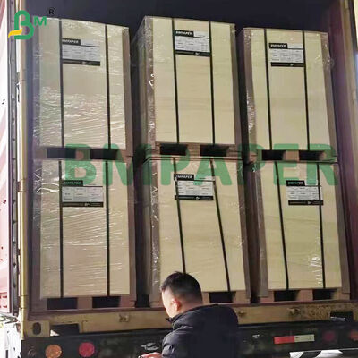 Tabla de pulpa de alta absorción 0,4-2,0 mm para el tapete de cerveza Tabla natural blanca