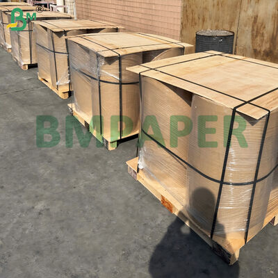 Papel Térmico Resistente al Frío a Prueba de Congelación para Almacenamiento en Frío y Exteriores