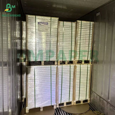 Papel SBS con revestimiento de una cara de 900 x 640 mm y 250 g/m² - 300 g/m² para envases de alimentos