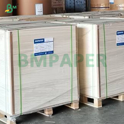 315g + 15g Cartoncillo PET Blanco Recubierto de Grado Alimenticio para Platos de Comida