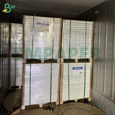 Cartulina blanca recubierta de 12 x 18 pulgadas, 300 g/m² - 350 g/m², 1 cara, para impresión offset