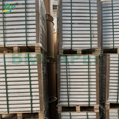 Hojas de papel artístico C2S brillante con doble recubrimiento de 100/180/200 g/m²