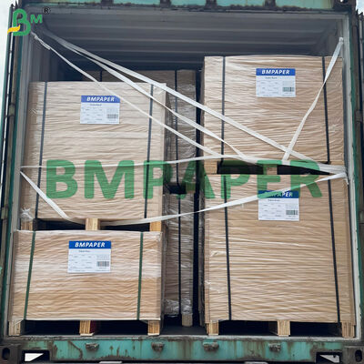 Leak Resistant PE Lined White Food Cardboard for Greasy Soup Containers