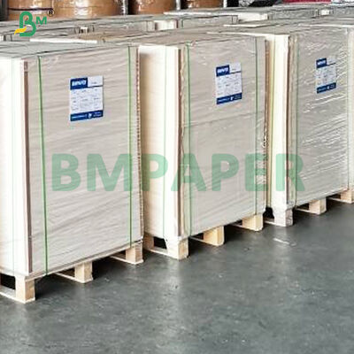 Base de papel resistente al calor de 18G PE revestido por la FDA para calefacción de recipientes de comida para llevar
