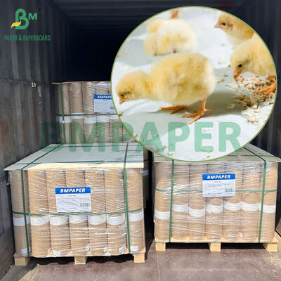 Papel impermeable para pollitos de 40gsm a 80gsm para alimentación y bebida de gallineros