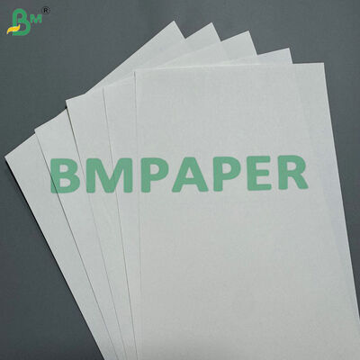 High Burst Strength & Tear Resistance 230gsm 250gsm Heavy-Duty White Kraft Cardboard   for Luggage Tags