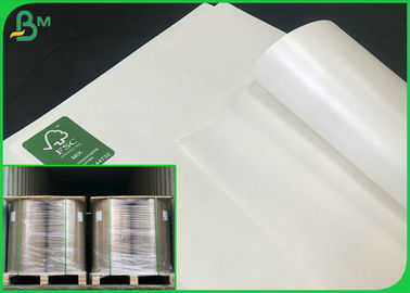 40G al papel blanco del arte de 350G C1S/al tablero de marfil con el PE cubrió los carretes de papel de la taza