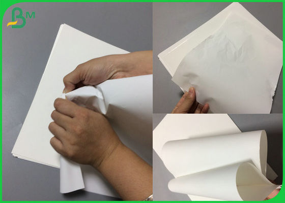 Papel sintético del ANIMAL DOMÉSTICO blanco impermeable del color 100um con el paquete del tamaño A4