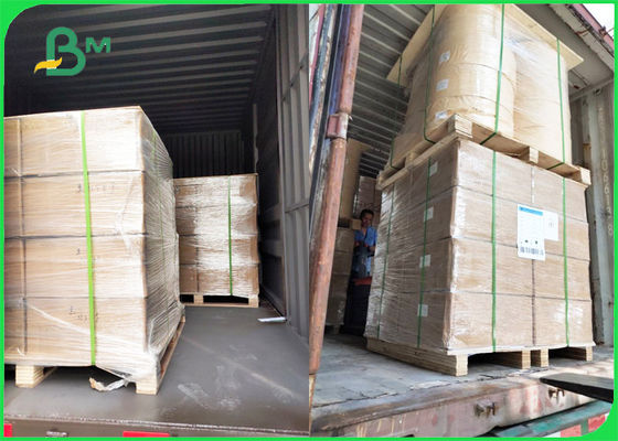 Rollos materiales del artículo de la paja de papel biodegradable blanca fuerte de Kraft 60gsm + 120gsm