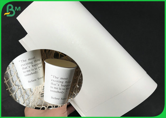 impermeable 200gsm + 15g PE cubrieron la taza blanca Rolls de papel para la taza de café de la categoría alimenticia