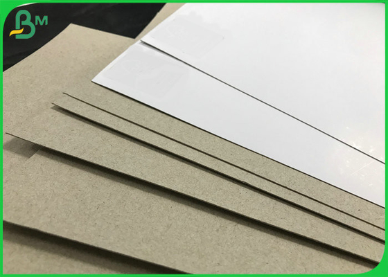 Eco reciclable 250gsm 300gsm Grey Back gD2 cubierto duplica las hojas del tablero de papel