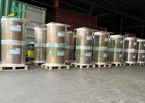 Temperatura alta de Paper For Supermarket del cajero de la posición del rollo enorme 55gsm resistente