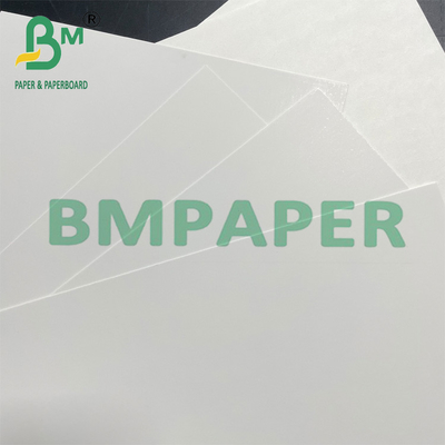 250 gm 350 gm Papel revestido de calidad alimentaria C1S para embalaje congelado