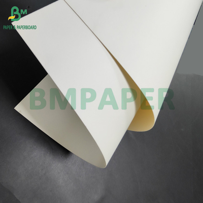 300 gm + 15 g de papel de calidad alimentaria recubierto en PE para recipientes de almuerzo 700 x 1000 mm