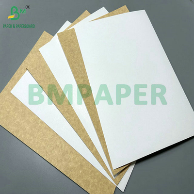 Buena resistencia de 150 gramos a 400 gramos de papel kraft natural marrón en rollos o hojas para tazas de alimentos