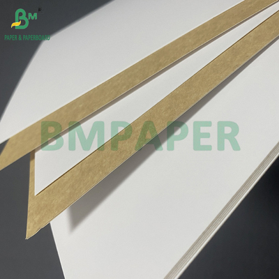 270 gramos 300 gramos Grado alimenticio recubierto de parte superior blanca KLB Kraft Back Carrier Board 31&quot; 43&quot;