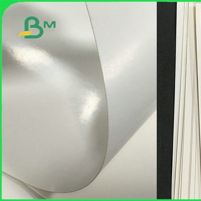 Placa plegable en rollo con recubrimiento en PE de grado alimenticio para la fabricación de tazas de papel