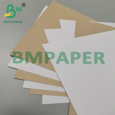 350 g 79 x 109 cm Tarjetas duplex recubiertas con fondo gris para envases farmacéuticos