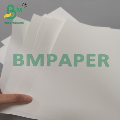 Papel de folleto sintético resistente al calor de 250 mm y 260 mm