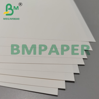 Papel de folleto sintético resistente al calor de 250 mm y 260 mm