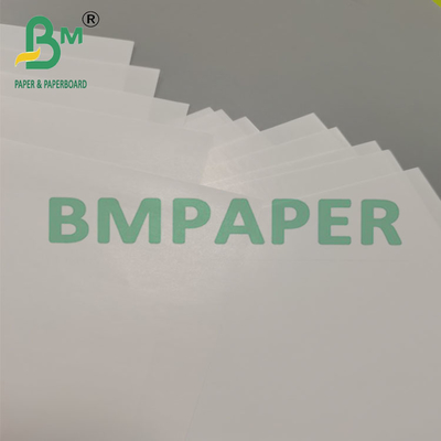 80 g de papel de manga de postre de una sola vez con forma cónica y cónica