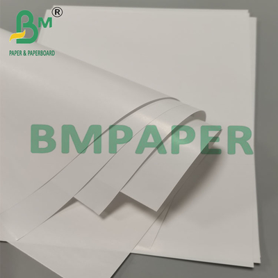 80g de papel de embalaje de taza de cono biodegradable a prueba de fugas