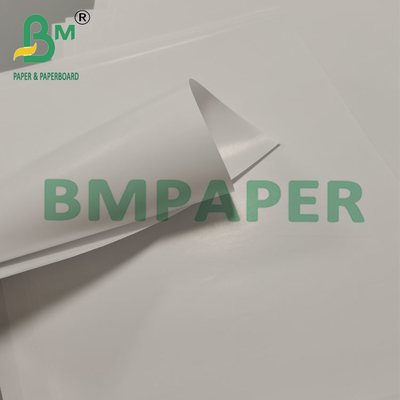 80g de papel de embalaje de taza de cono biodegradable a prueba de fugas