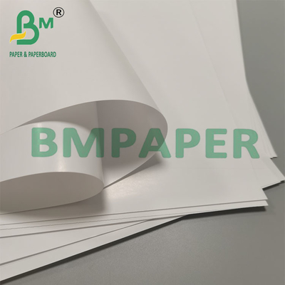 80g de papel de embalaje de taza de cono biodegradable a prueba de fugas
