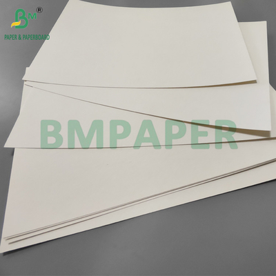190gm + 15g PE P1S Papel de taza Brillo para cafetería Impermeable 720mm 880mm